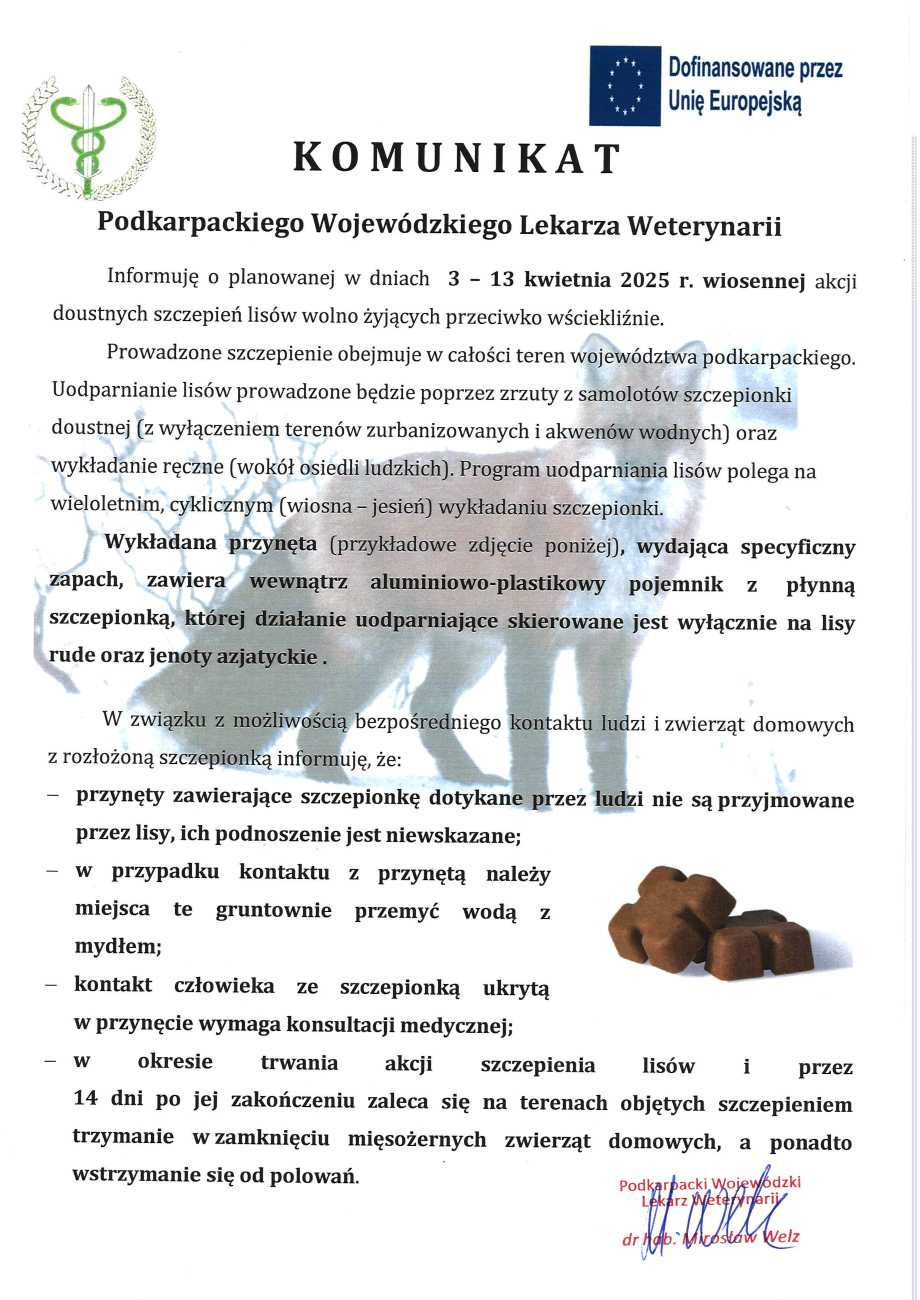 **Alternatywny tekst (alt text) zgodny z WCAG:**    Oficjalny komunikat Podkarpackiego Wojewódzkiego Lekarza Weterynarii dotyczący wiosennej akcji doustnych szczepień lisów wolno żyjących przeciwko wściekliźnie, zaplanowanej na **3–13 kwietnia 2025 r.** Szczepionki będą rozrzucane z samolotów oraz wykładane ręcznie wokół osiedli ludzkich.    Komunikat zawiera ostrzeżenie dla ludzi i zwierząt domowych:   - Nie należy dotykać przynęt, ponieważ lisy ich nie przyjmą.   - W przypadku kontaktu z przynętą należy umyć skórę wodą z mydłem.   - Kontakt człowieka ze szczepionką wymaga konsultacji medycznej.   - Przez 14 dni po zakończeniu akcji zaleca się trzymanie zwierząt mięsożernych w zamknięciu i unikanie polowań.    Na dole strony znajduje się podpis Podkarpackiego Wojewódzkiego Lekarza Weterynarii, dr. hab. Mirosława Welza. Widoczny jest także symbol Unii Europejskiej z informacją o finansowaniu. W tle komunikatu znajduje się półprzezroczysty obraz dwóch lisów, a na dole zdjęcie przykładowej przynęty – małej, brązowej kostki.