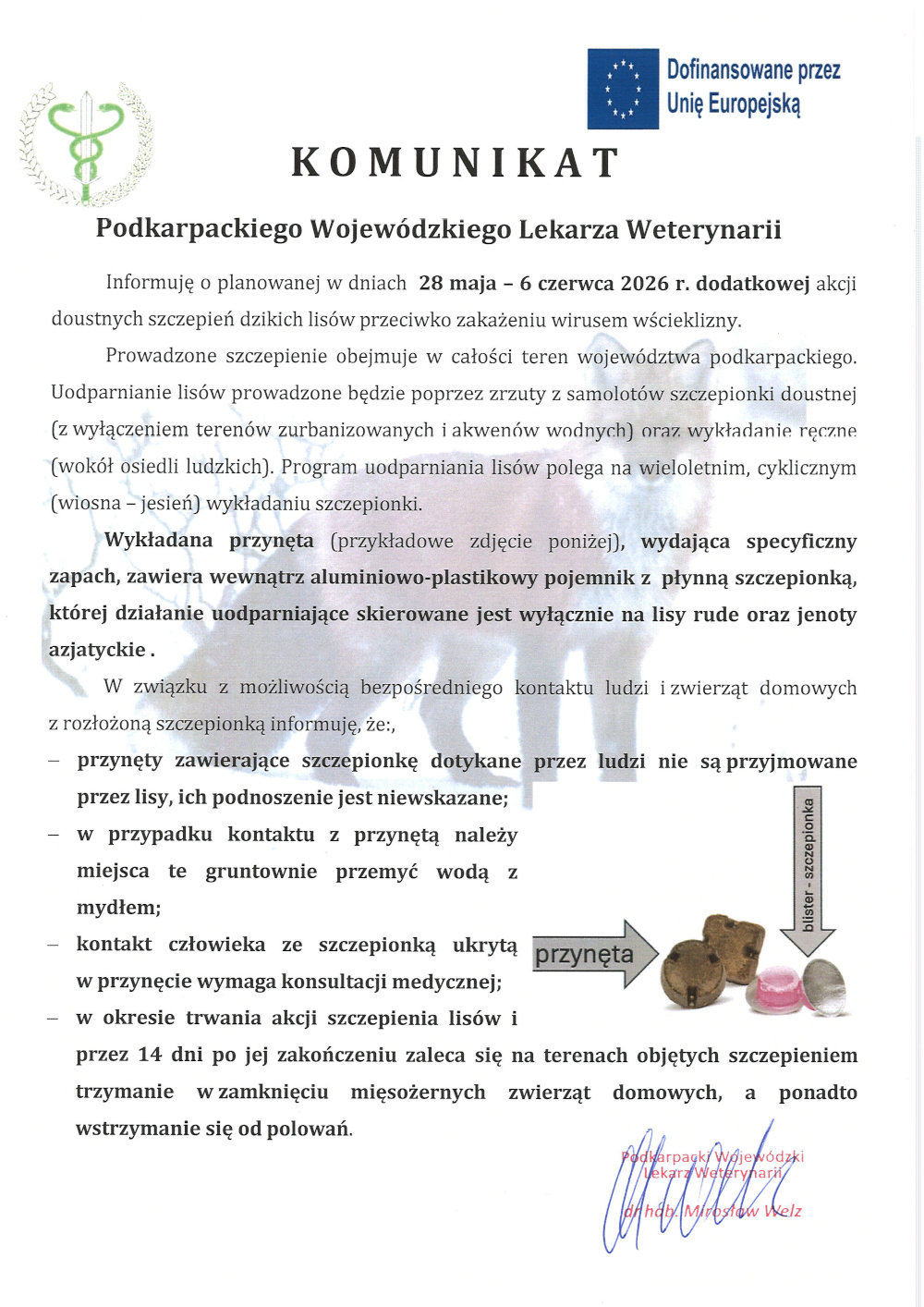 Oficjalny komunikat Podkarpackiego Wojewódzkiego Lekarza Weterynarii z maja 2026 roku dotyczący dodatkowej akcji szczepienia dzikich lisów przeciwko wściekliźnie. W tle widoczny jest cień lisa, a w prawym dolnym rogu zdjęcie poglądowe przynęty i blistra ze szczepionką