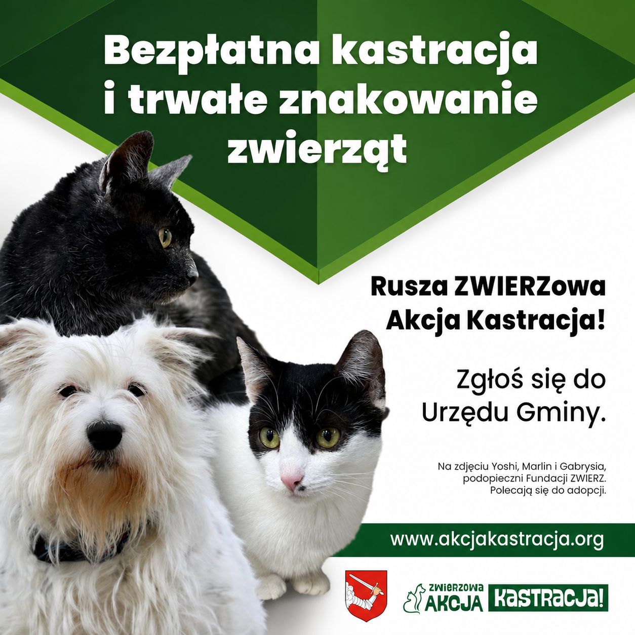 Plakat informacyjny akcji „ZWIERZowa Akcja Kastracja!”. Na białym tle znajdują się zdjęcia trzech zwierząt: białego, kudłatego psa oraz dwóch kotów – czarnego i biało-czarnego. Duży napis głosi: „Bezpłatna kastracja i trwałe znakowanie zwierząt. Rusza ZWIERZowa Akcja Kastracja! Zgłoś się do Urzędu Gminy.” Na dole widnieje adres www.akcjakastracja.org oraz logo akcji i herb gminy.